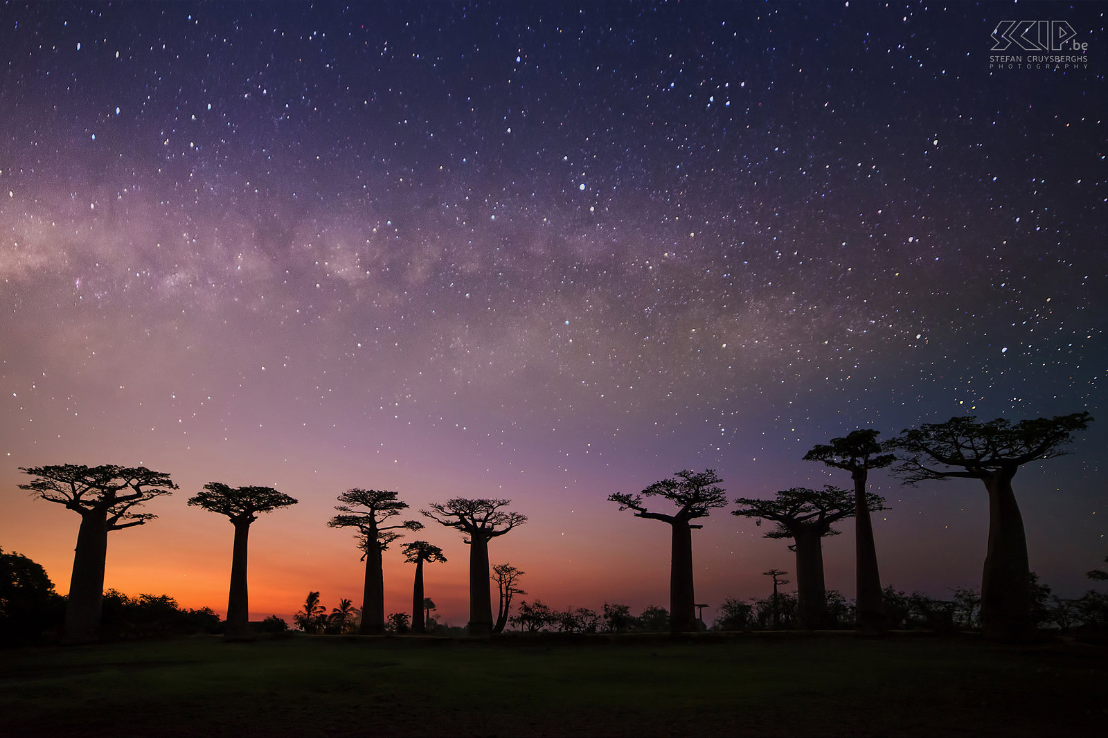 Milky Way at the baobabs The ‘Avenue of Baobabs’ has been portrayed by countless photographers, especially at sunset. I stayed after sunset and I made this photo when there were still shades of orange, pink and purple at the horizon and it was already dark enough to see the Milky Way clearly. Stefan Cruysberghs